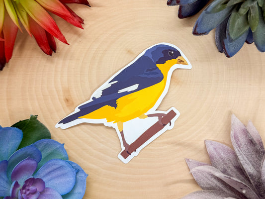 Lesser Goldfinch Sticker