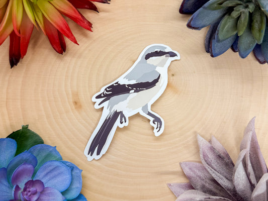Loggerhead Shrike Sticker
