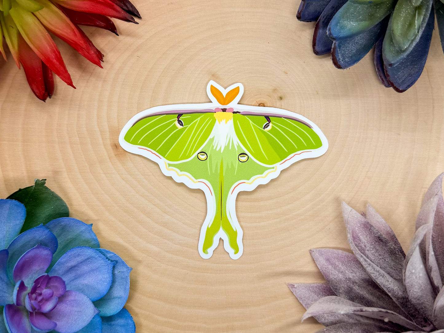 Luna Moth Sticker