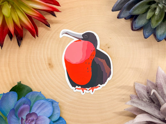 Magnificent Frigatebird Sticker