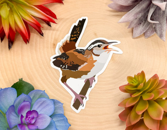 Marsh Wren Sticker