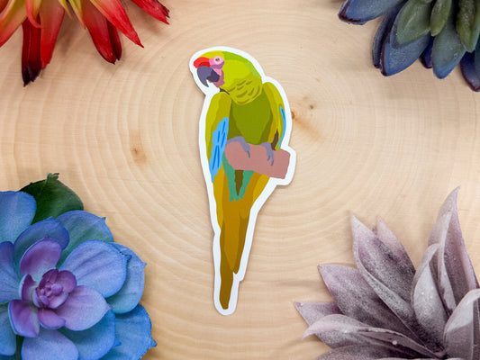 Military Macaw Sticker