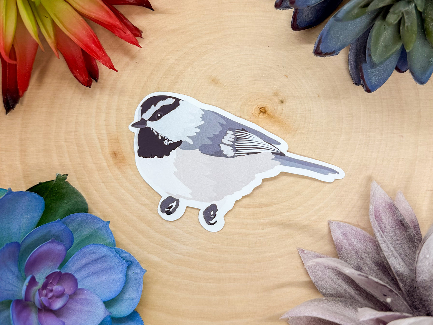 Mountain Chickadee Sticker