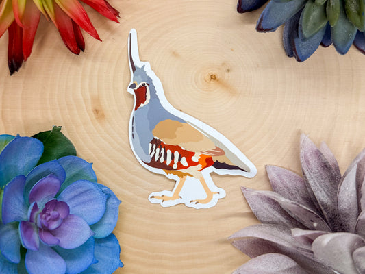 Mountain Quail Sticker