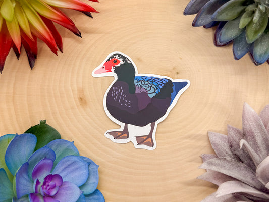 Muscovy Duck Sticker