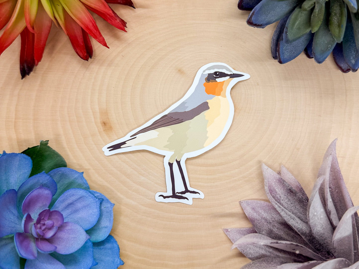 Northern Wheatear Sticker