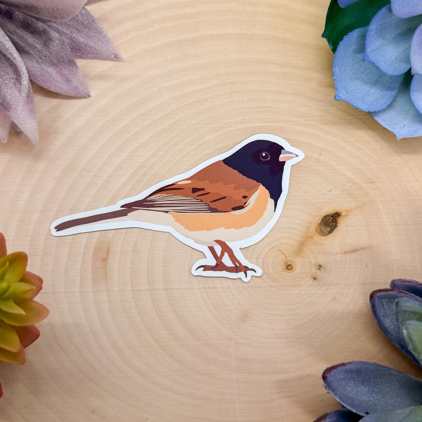 Oregon Dark Eyed Junco Sticker