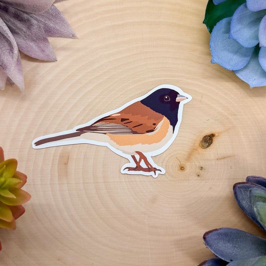 Oregon Dark Eyed Junco Sticker