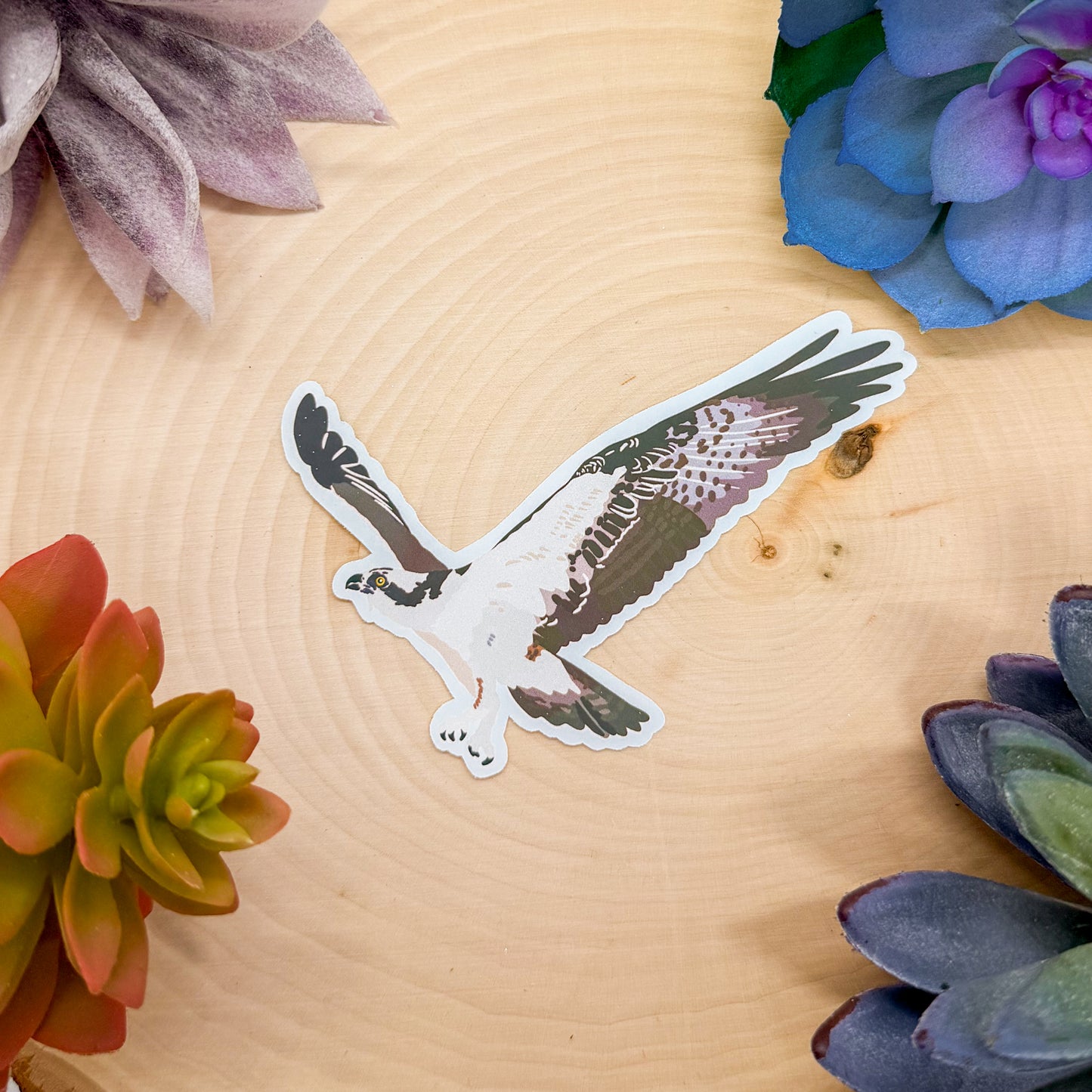Osprey Sticker