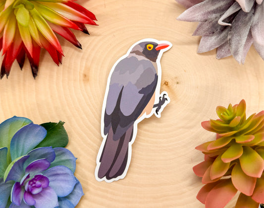 Oxpecker Sticker