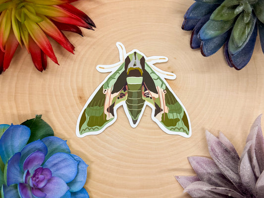 Pandorus Sphinx Sticker