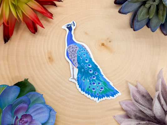 Peacock Sticker