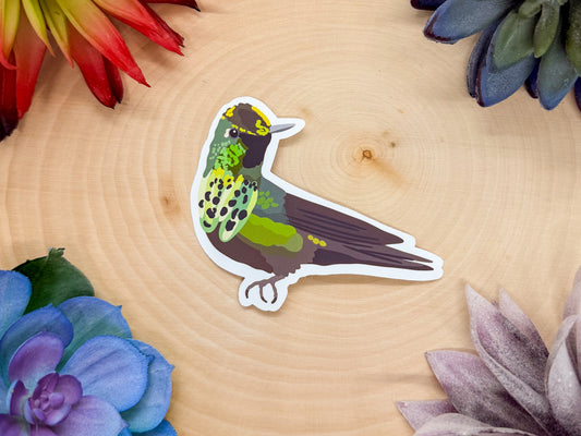 Peacock Coquette Sticker