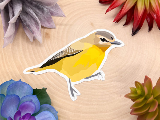 Philadelphia Vireo Sticker