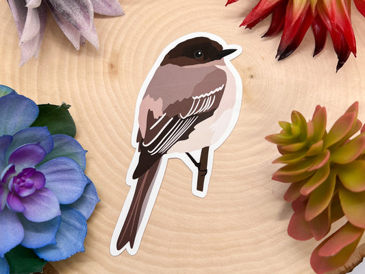 Eastern Phoebe Sticker
