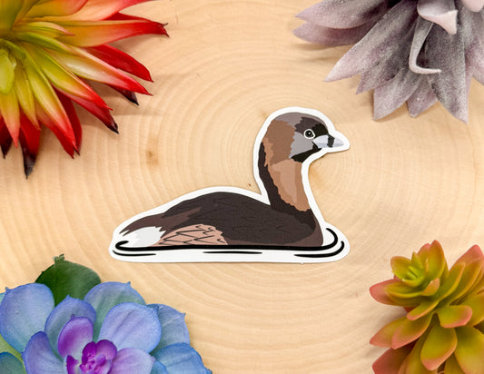 Pied Billed Grebe Sticker