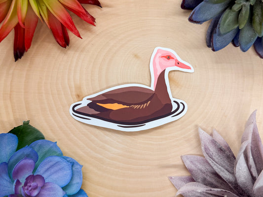 Pink Headed Duck Sticker