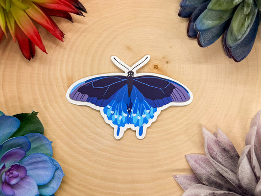 Pipevine Swallowtail Sticker