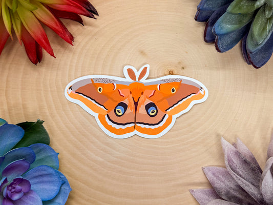Polyphemus Moth Sticker