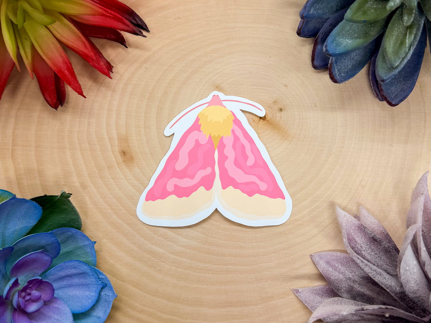 Primrose Moth Sticker