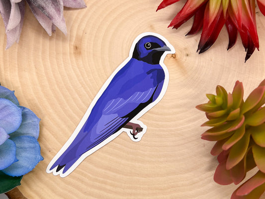 Purple Martin Sticker