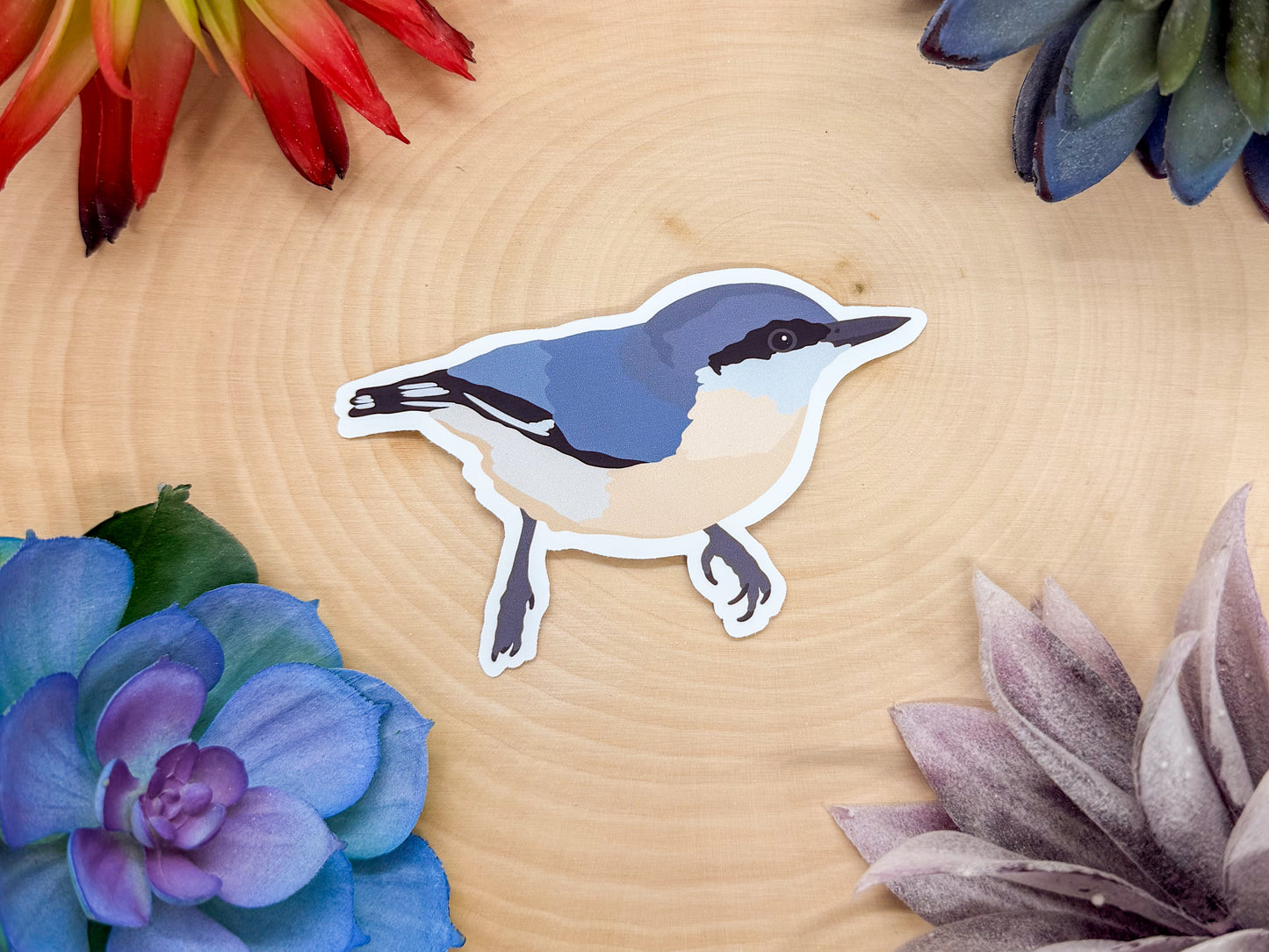 Pygmy Nuthatch Sticker
