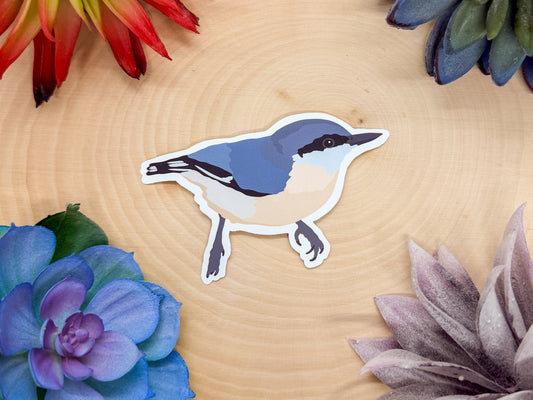 Pygmy Nuthatch Sticker
