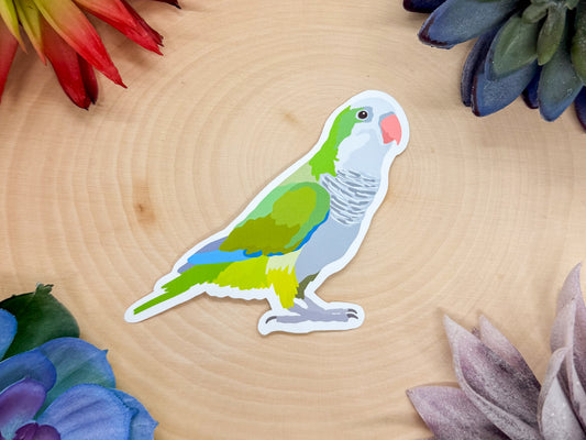 Quaker Parrot Sticker