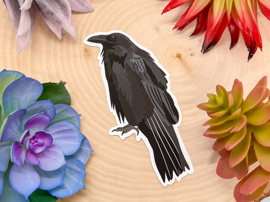 Common Raven Sticker