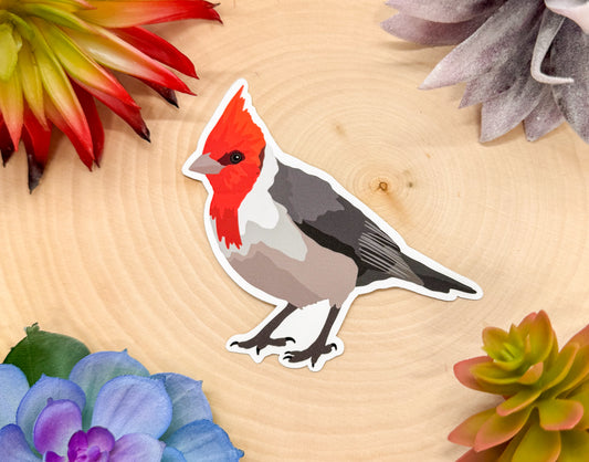 Red Crested Cardinal Sticker