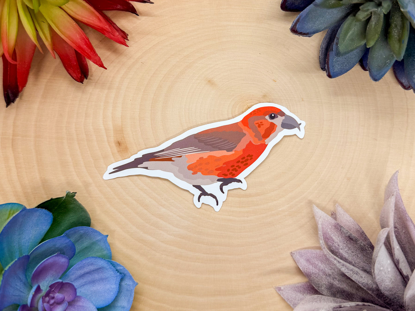 Red Crossbill Sticker