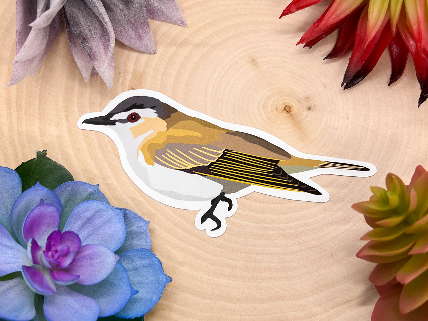 Red Eye Vireo Sticker