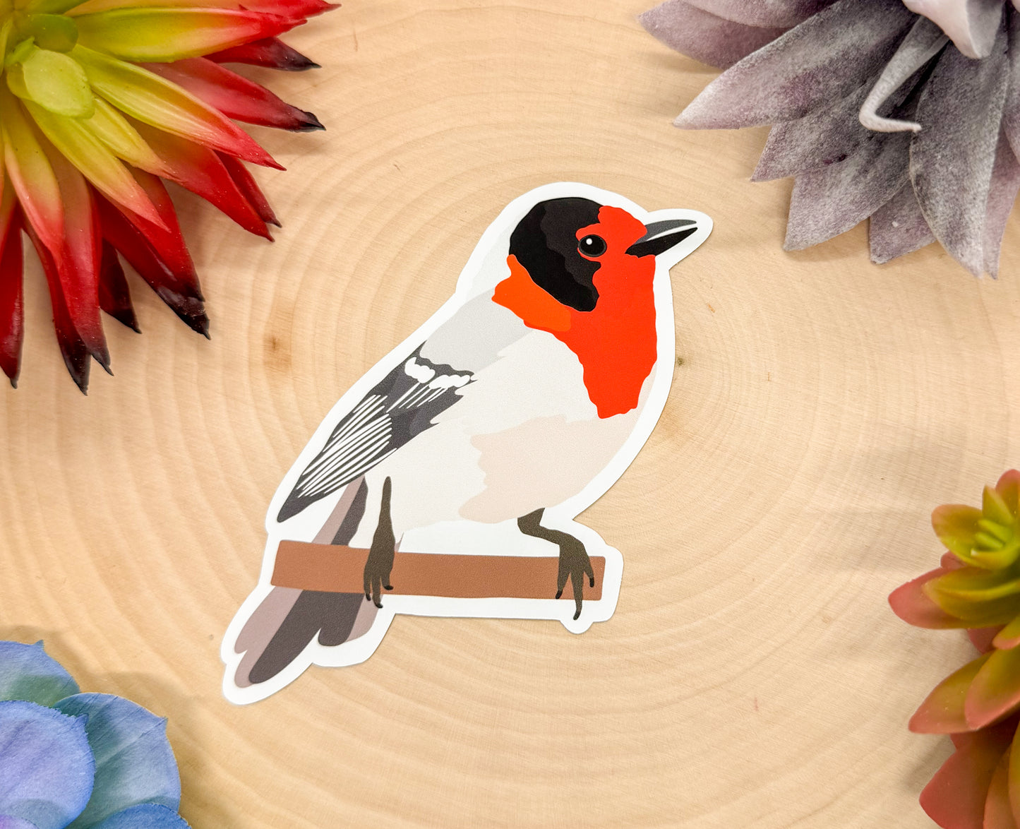 Red Faced Warbler Sticker