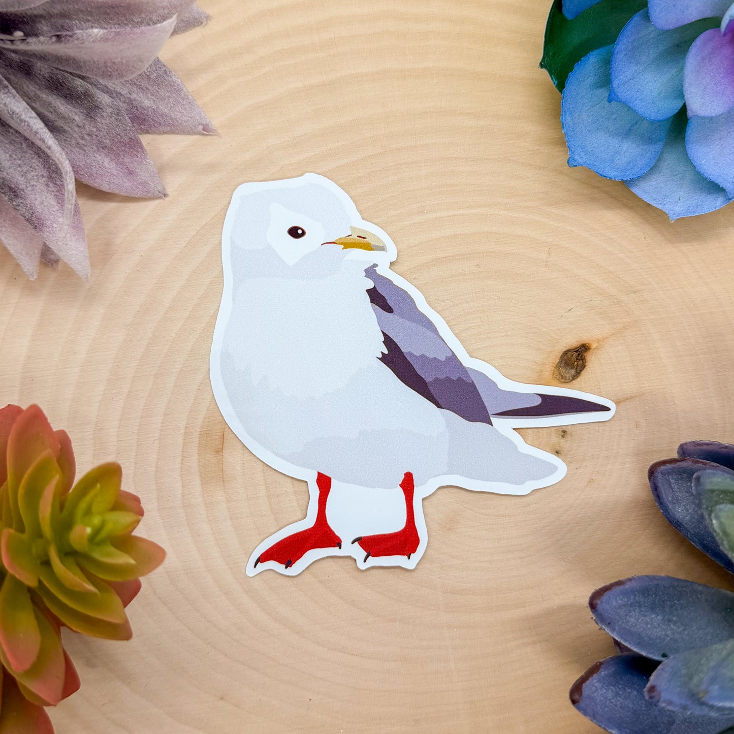 Red Legged Kittiwake Sticker