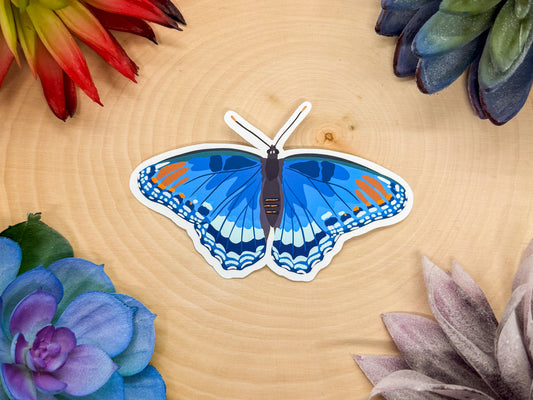 Red Spotted Purple Sticker