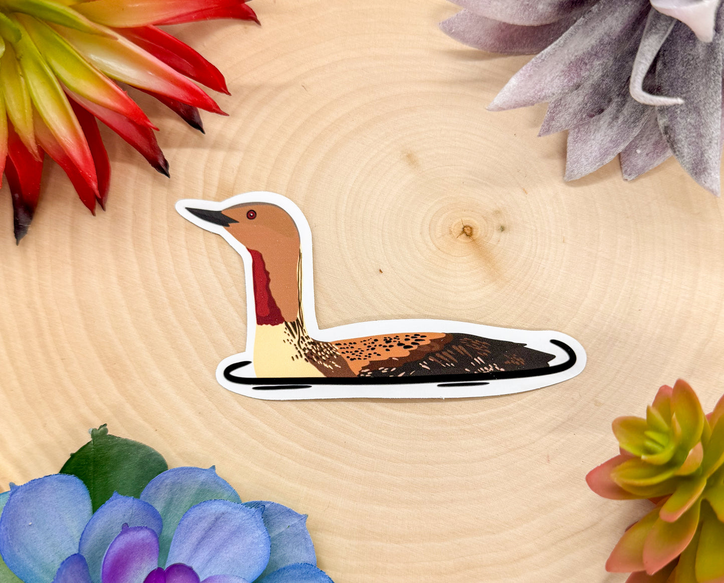 Red Throated Loon Sticker