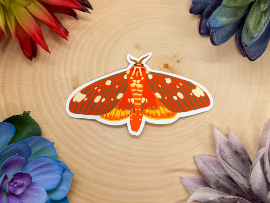Regal Moth Sticker