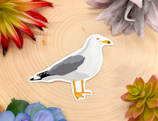 Ring Billed Gull Sticker