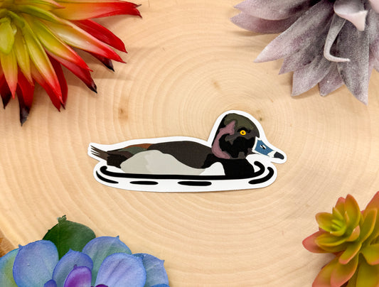 Ring Necked Duck Sticker