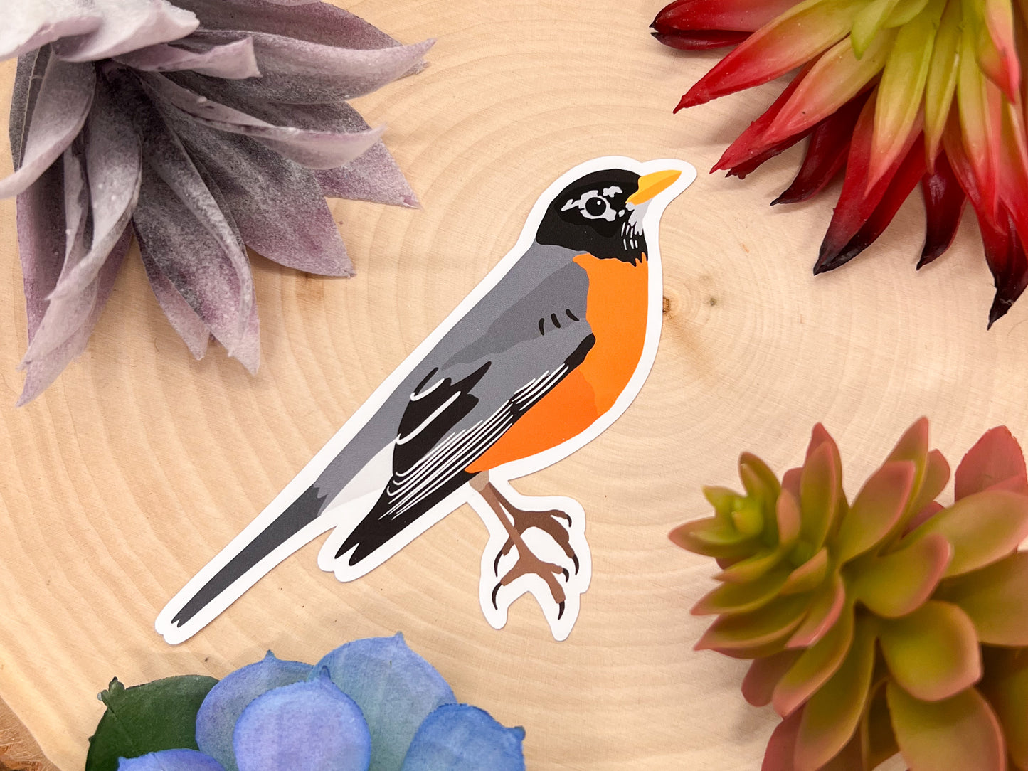American Robin Sticker