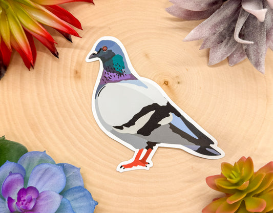 Rock Pigeon Sticker