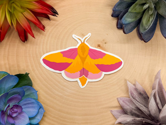 Rosy Maple Moth Sticker