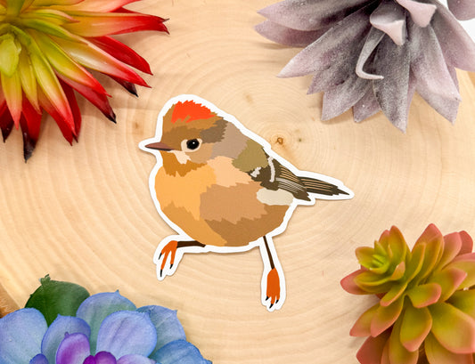 Ruby Crowned Kinglet Sticker