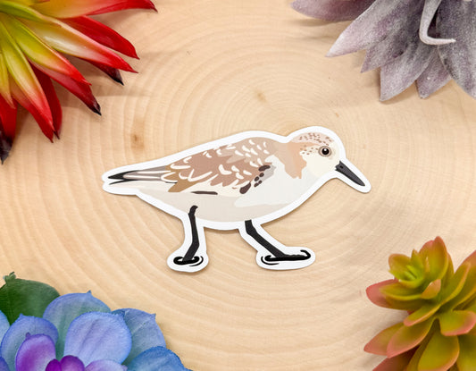 Sanderling Sticker