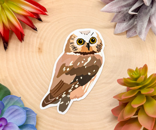 Saw Whet Owl Sticker