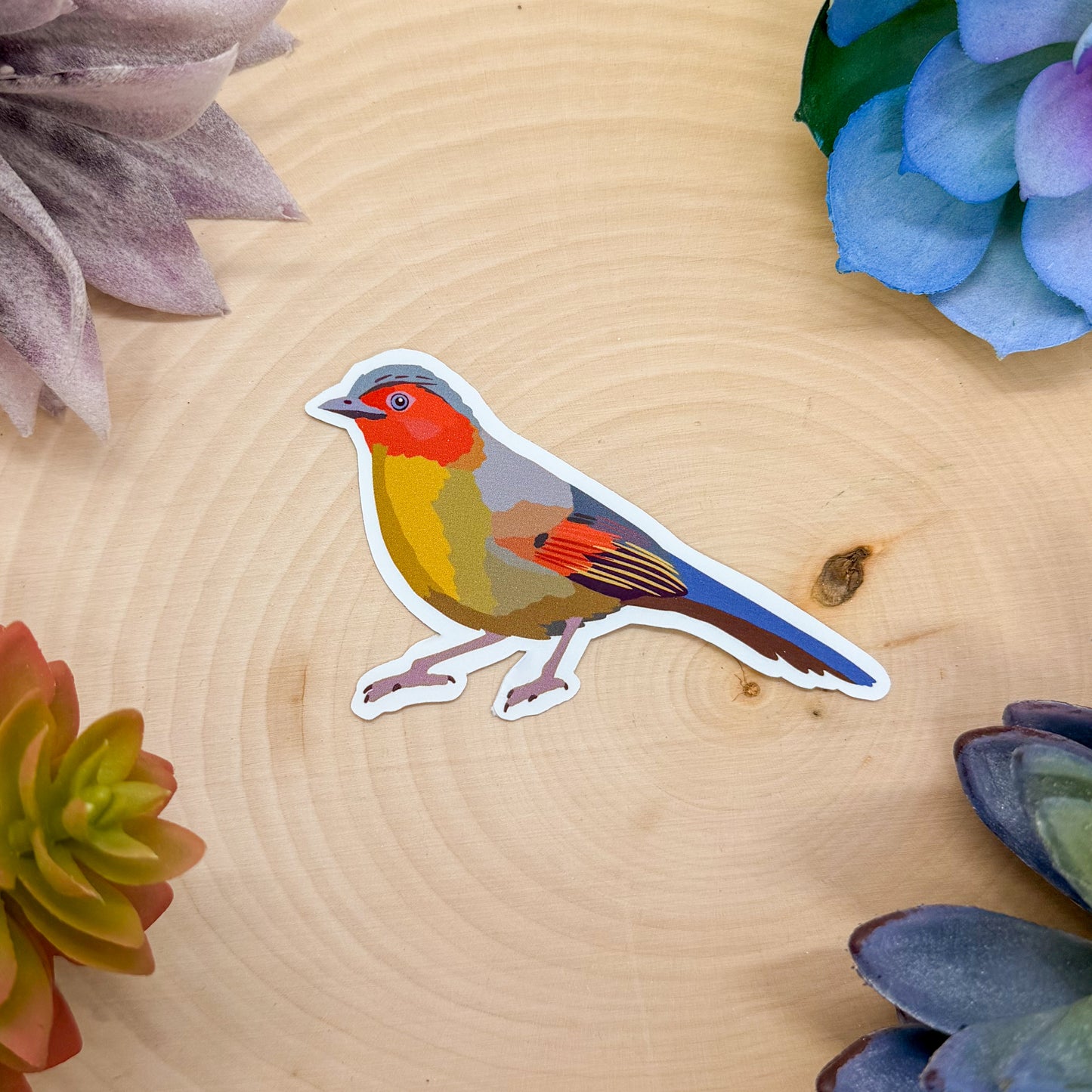 Scarlet Faced Liocichla Sticker