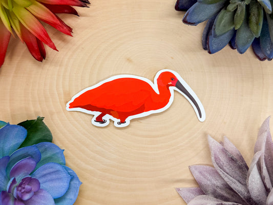 Scarlet Ibis Sticker
