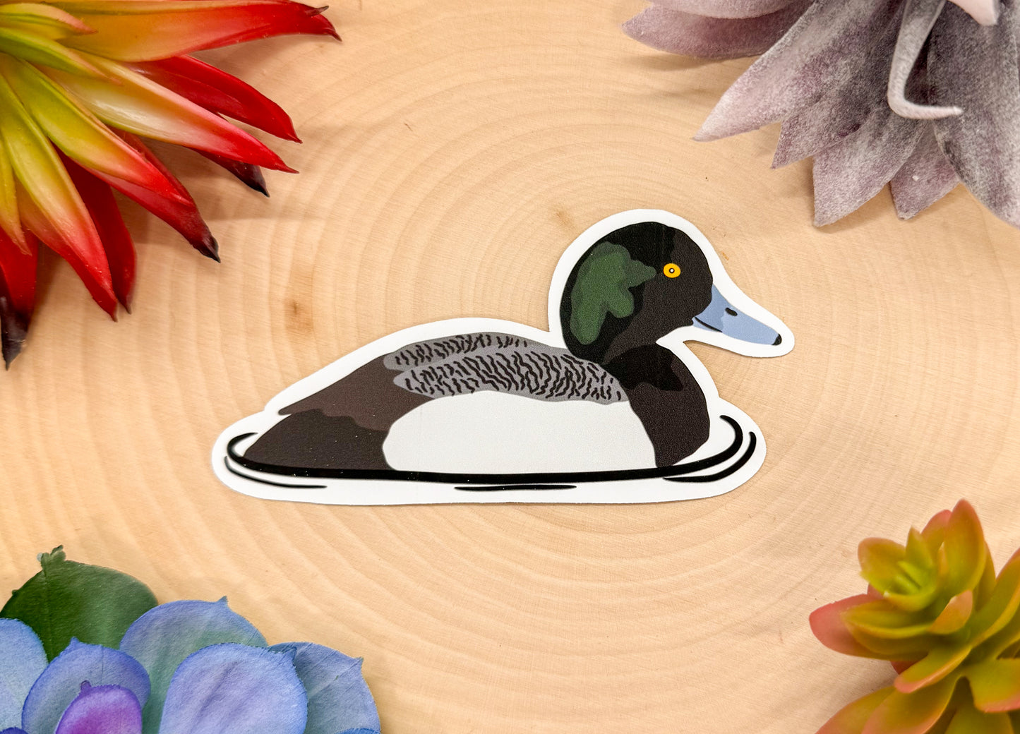 Scaup Sticker