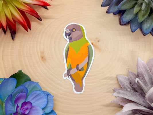 Senegal Parrot Sticker
