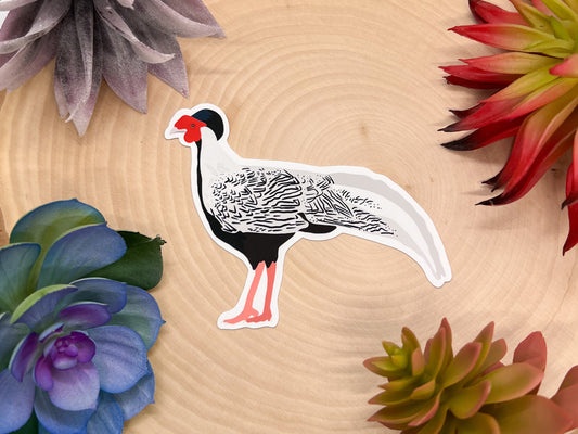 Silver Pheasant Sticker